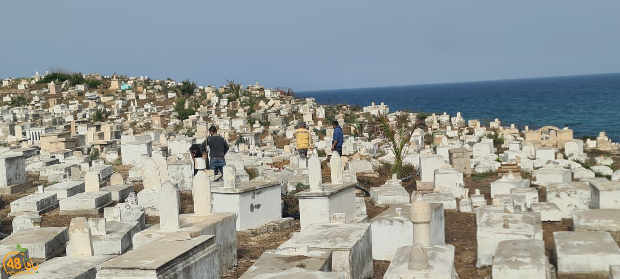 WhatsApp Image 2023-06-03 at 10.11.54 AM (1).jpeg